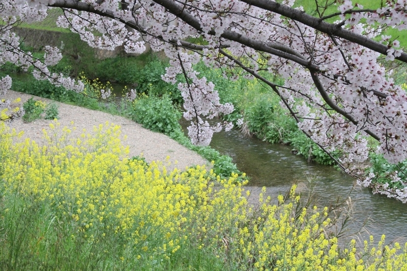 イメージ 6