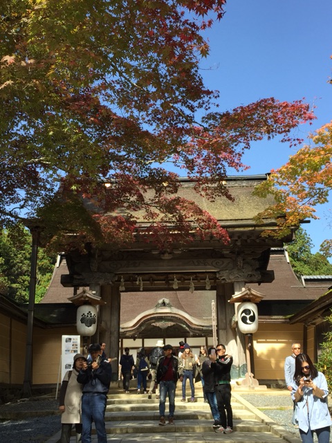 イメージ 16
