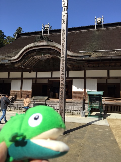 イメージ 17