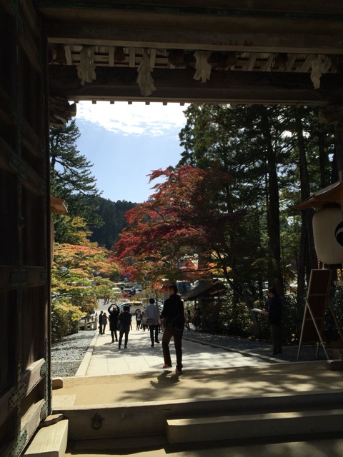 イメージ 18