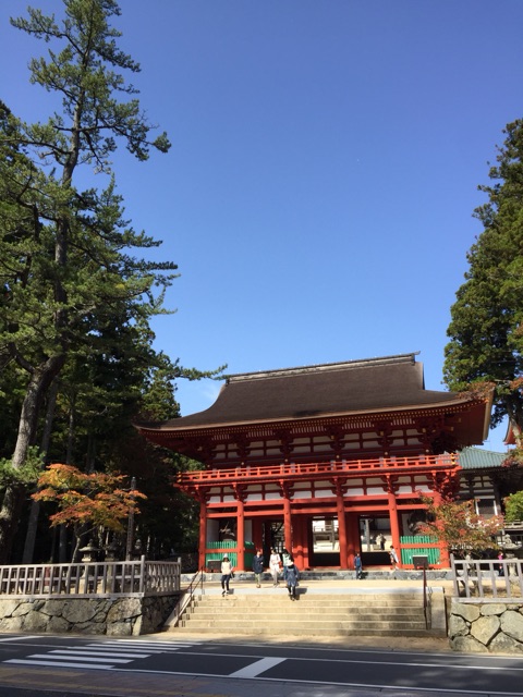 イメージ 9