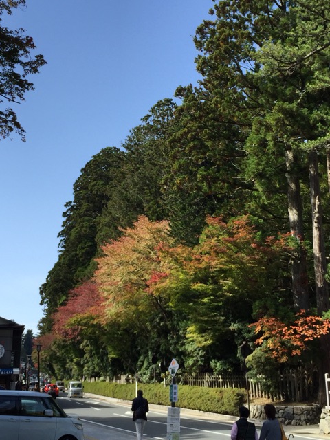 イメージ 10