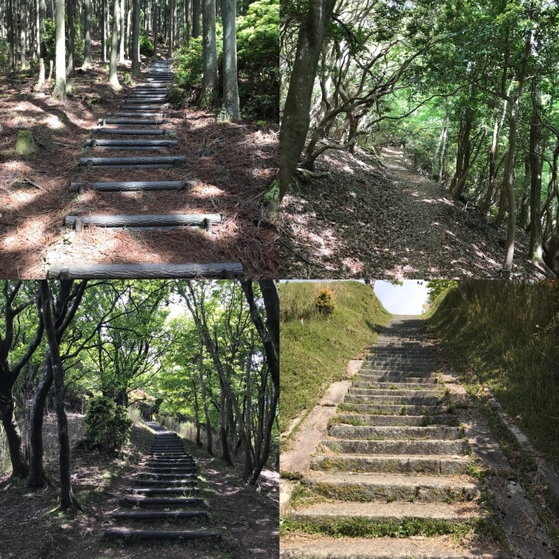 イメージ 3