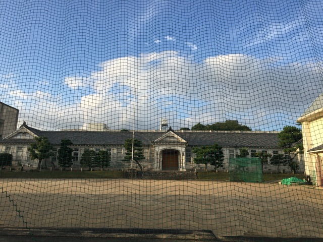 イメージ 5