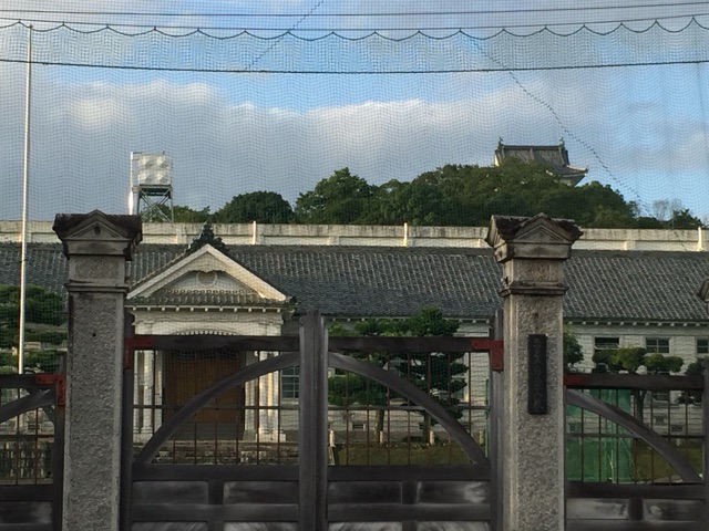 イメージ 6