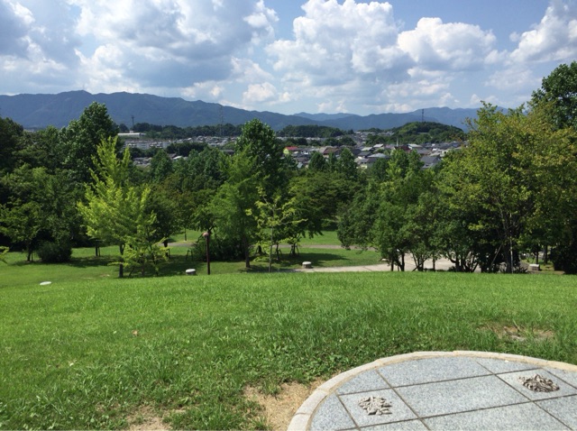 イメージ 5