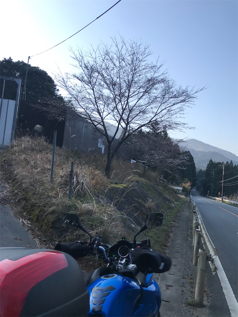 f:id:kattsf10:20210327220914j:image