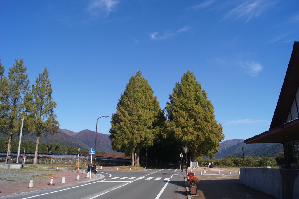 f:id:kattsf10:20211105182158j:image