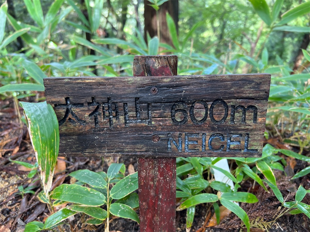 f:id:kattsf10:20231010190118j:image