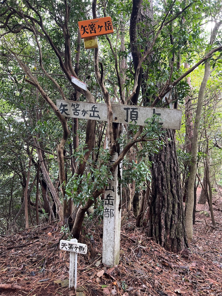 f:id:kattsf10:20231010190248j:image