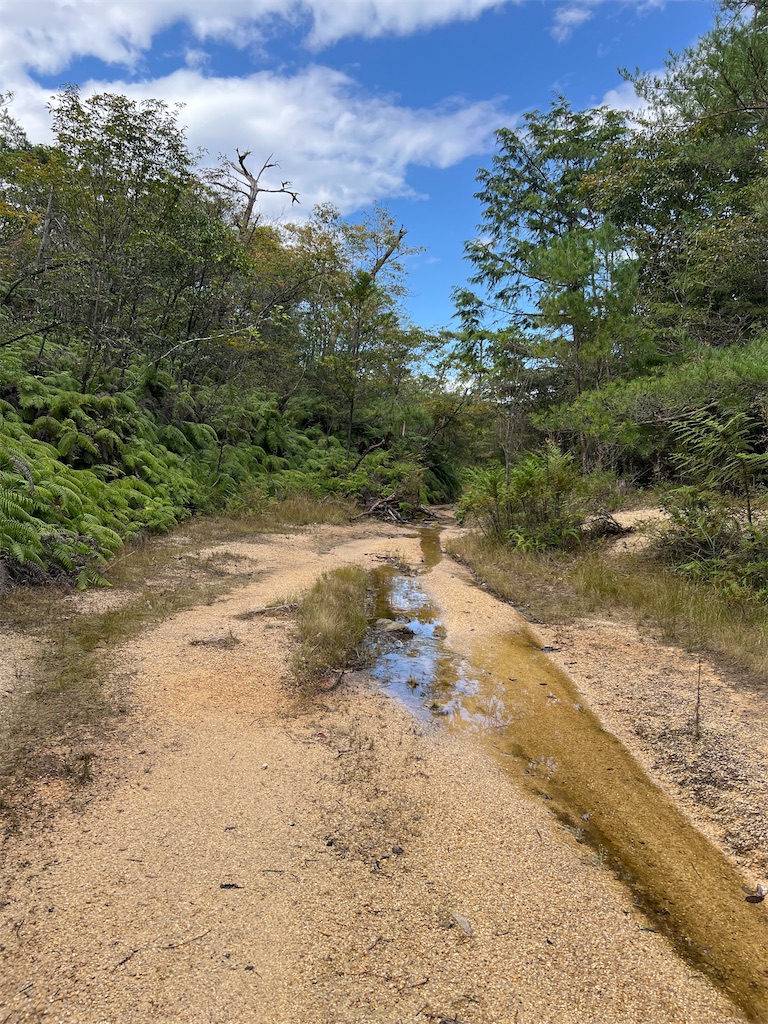 f:id:kattsf10:20231010190544j:image