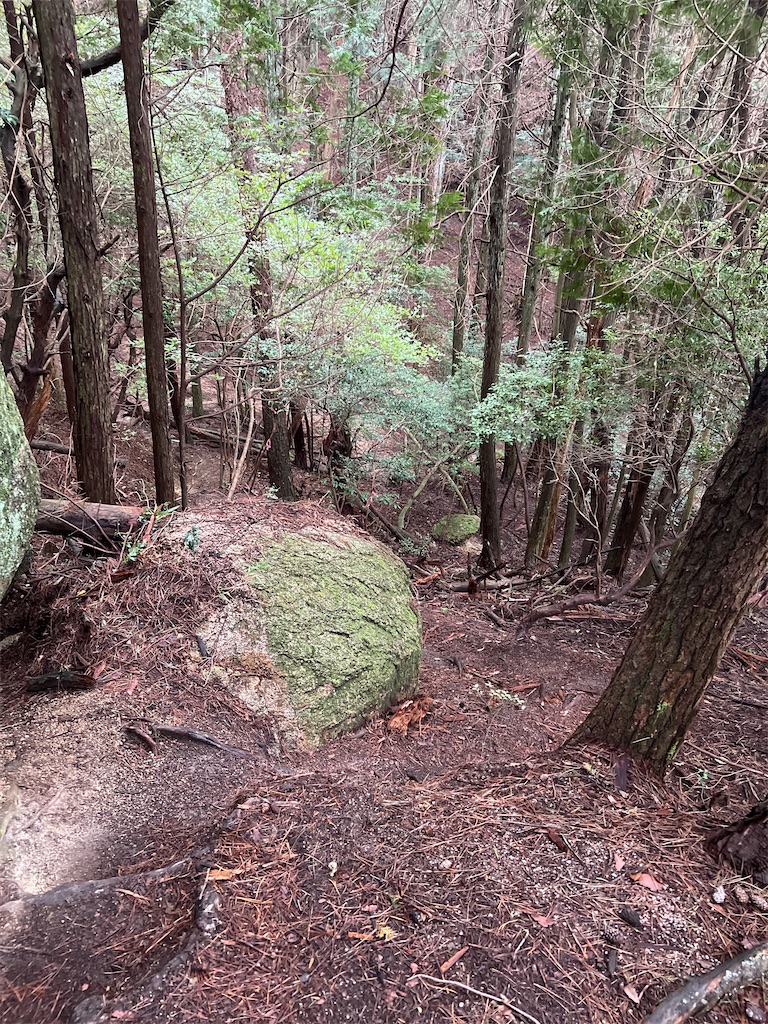 f:id:kattsf10:20231010190551j:image