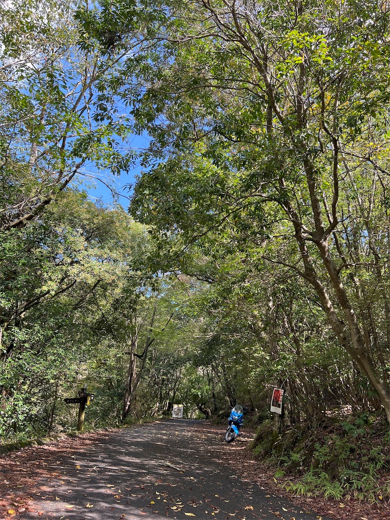 f:id:kattsf10:20231010190852j:image