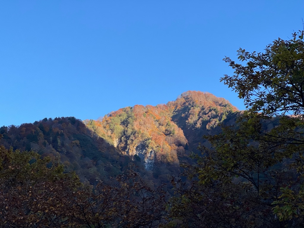 f:id:kattsf10:20231103191532j:image