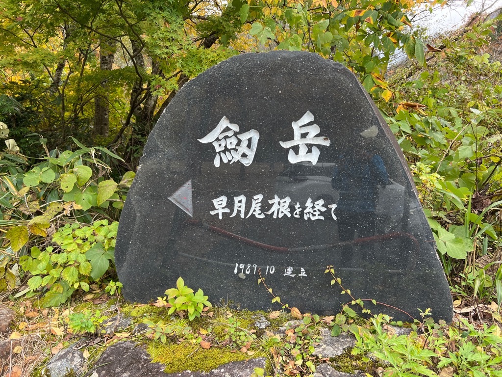 f:id:kattsf10:20231103194723j:image