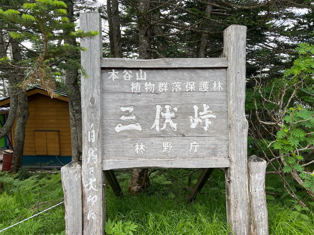 f:id:kattsf10:20250709112225j:image