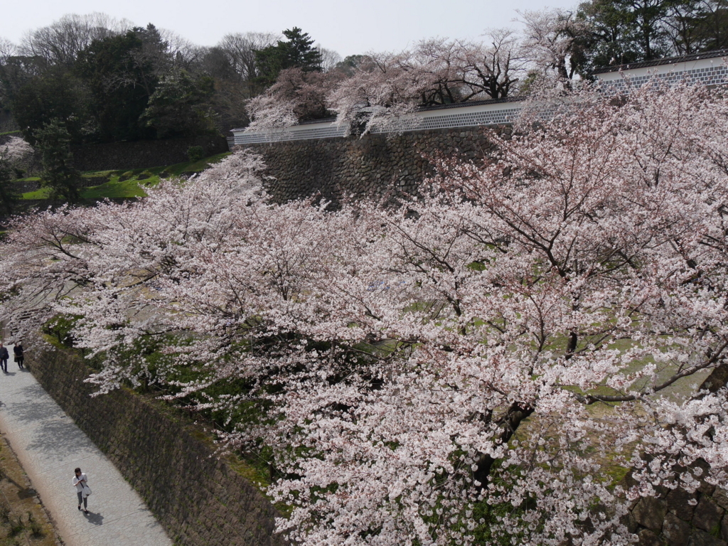 f:id:katu3do:20180403114251j:plain f:id:katu3do:20180403114251j:plain
