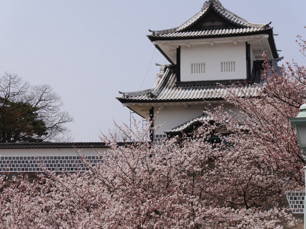 f:id:katu3do:20180403114334j:plain f:id:katu3do:20180403114334j:plain