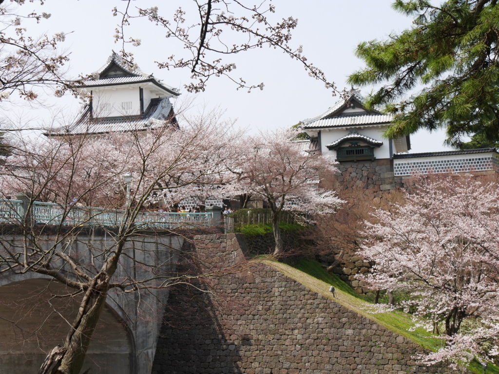 f:id:katu3do:20180403114353j:plain f:id:katu3do:20180403114353j:plain