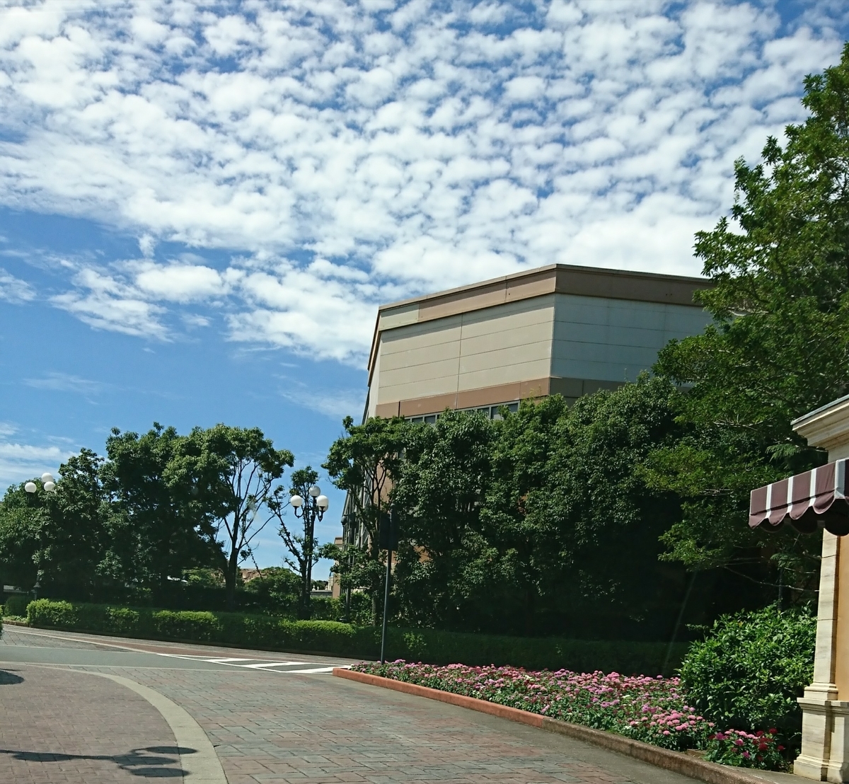 f:id:katukokatu:20190830094547j:plain