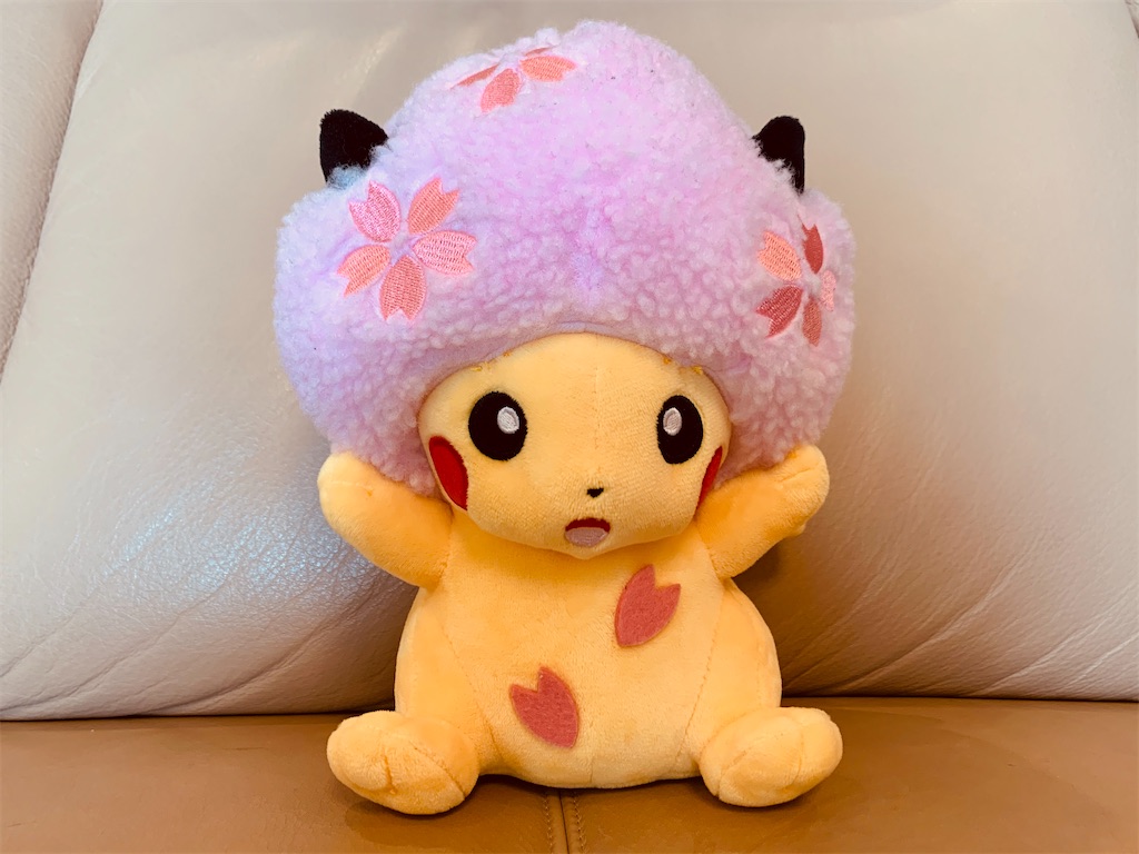 f:id:katukokatu:20200411053545j:image