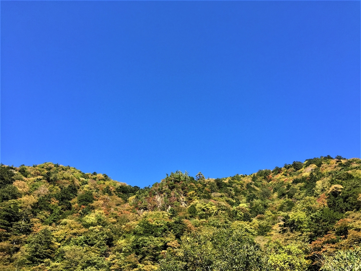 f:id:katukunTENKARA:20210203185146j:plain