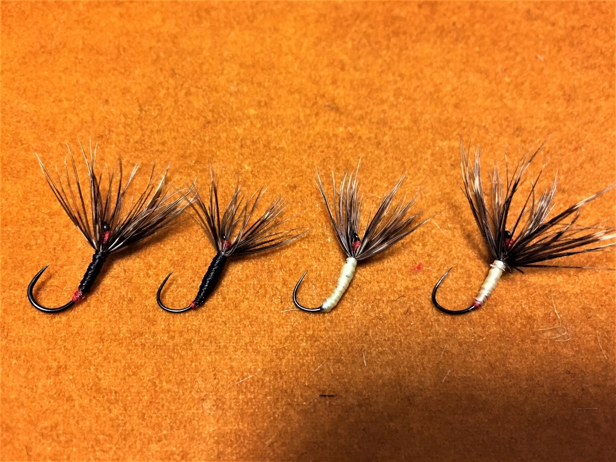 f:id:katukunTENKARA:20210302080645j:plain