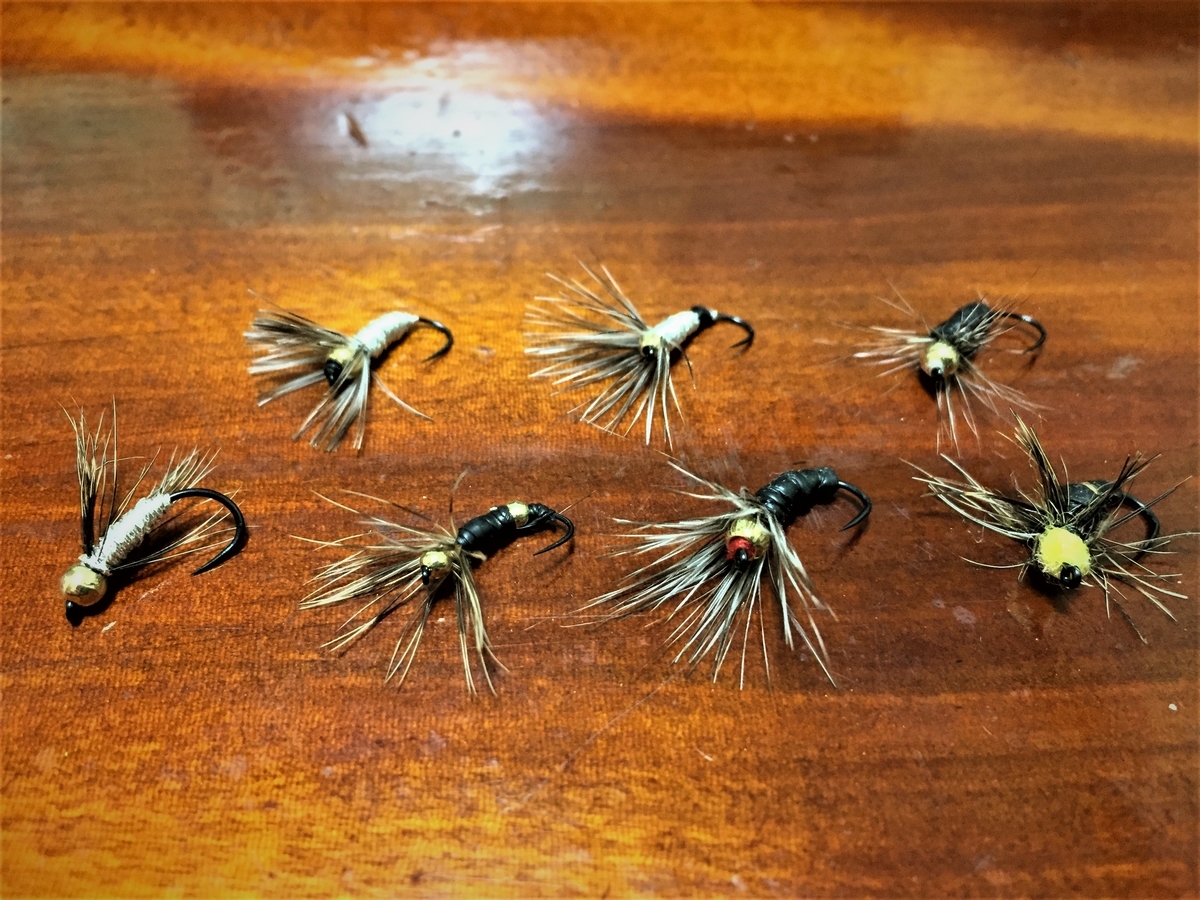 f:id:katukunTENKARA:20210302083650j:plain