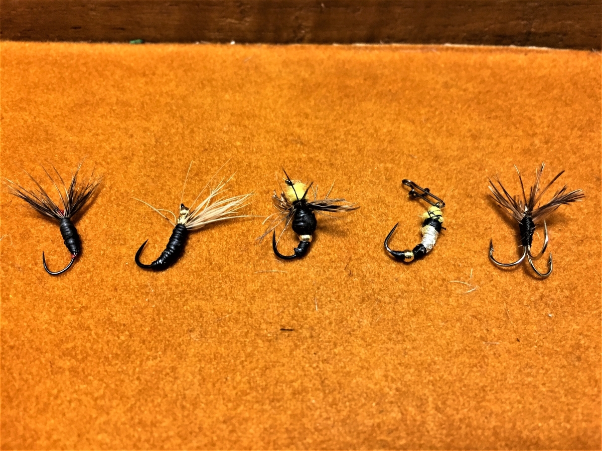f:id:katukunTENKARA:20210302084031j:plain