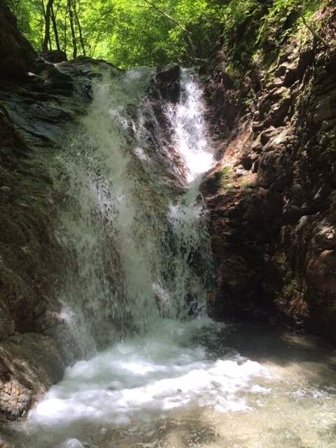f:id:katukunTENKARA:20211030102457j:plain