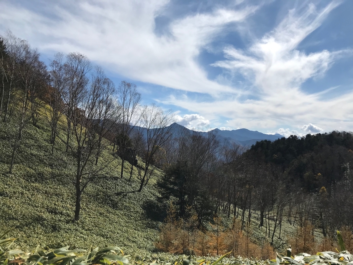 f:id:katukunTENKARA:20211105134943j:plain