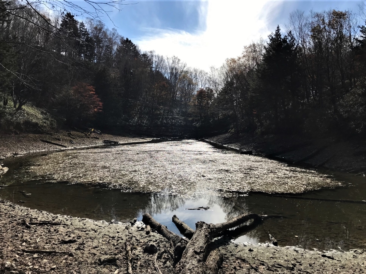 f:id:katukunTENKARA:20211105135006j:plain