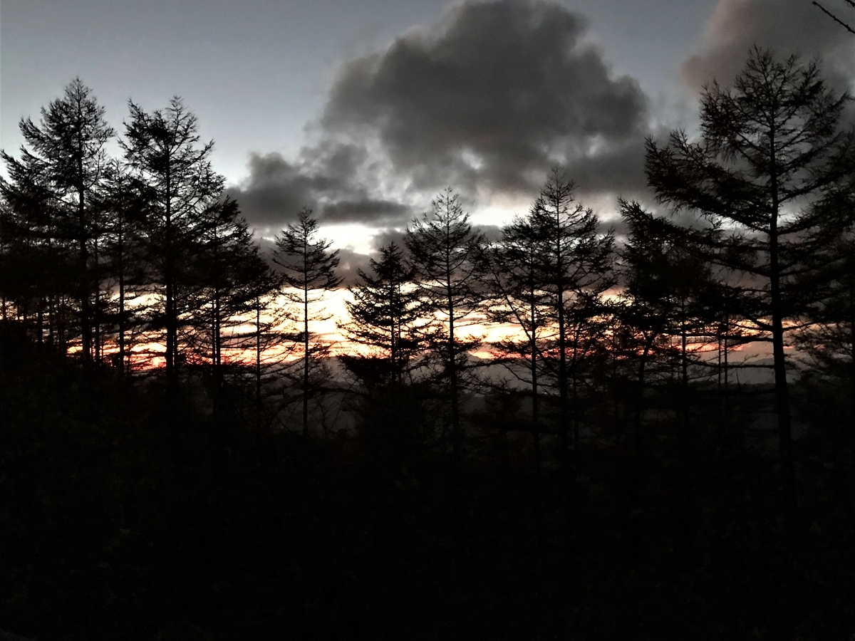 f:id:katukunTENKARA:20211105152659j:plain