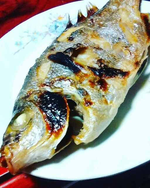f:id:katumagu:20161128013258j:image