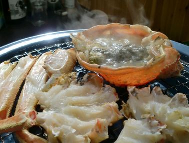 f:id:katun055:20080111120923j:plain f:id:katun055:20080111120923j:plain