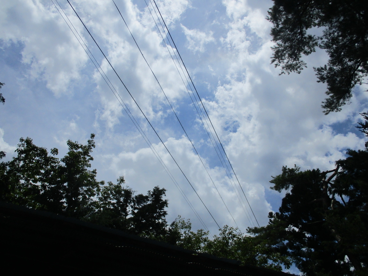 f:id:katupiti:20210807032707j:plain