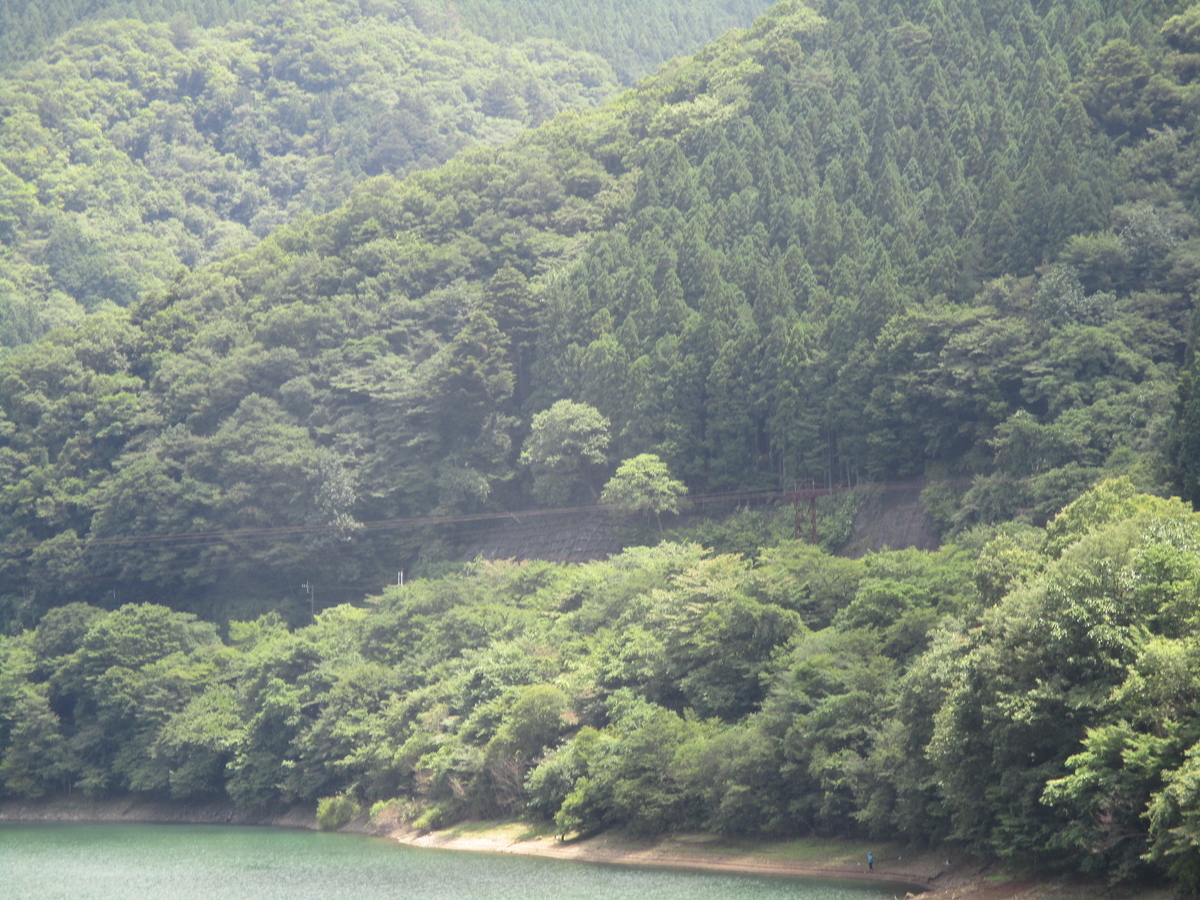 f:id:katupiti:20210807033833j:plain