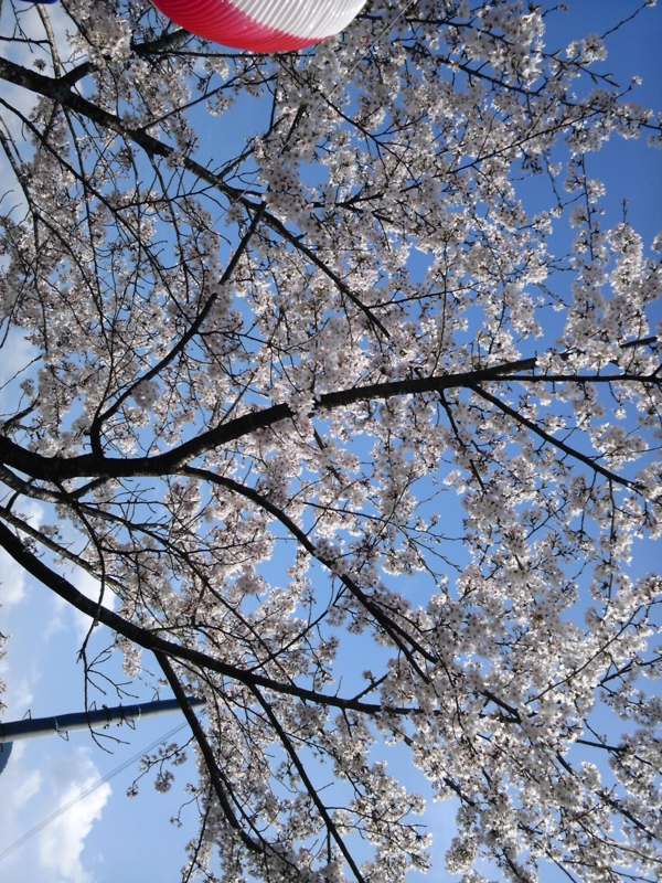 f:id:katuurasan:20100404150436j:image
