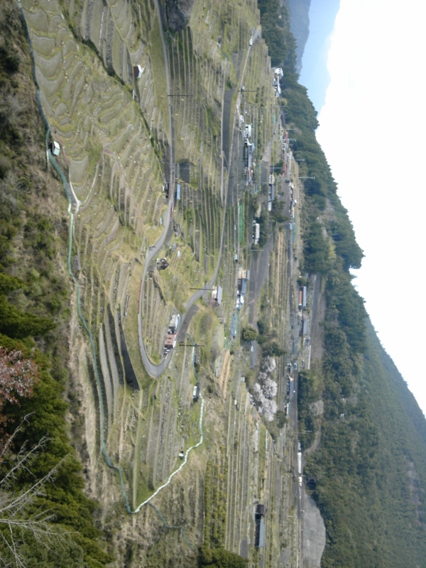 f:id:katuurasan:20100404155216j:image