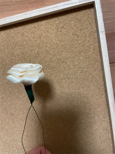 f:id:katuwo-chan:20230211221103j:image