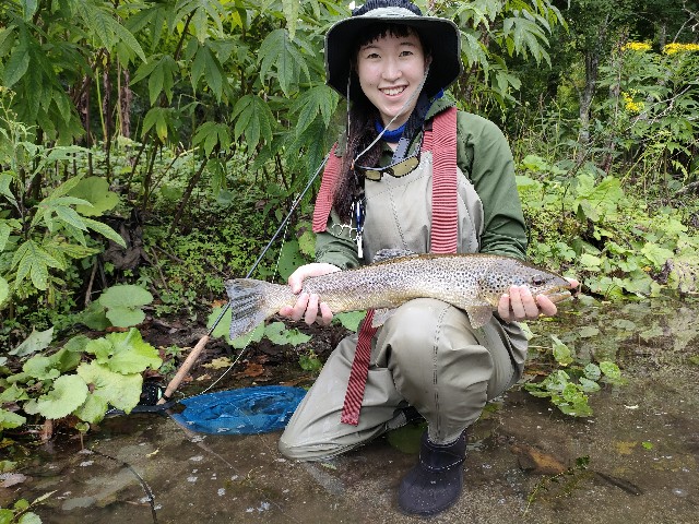 f:id:katyosetsugan:20220812073233j:image f:id:katyosetsugan:20220812073233j:image