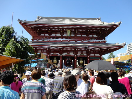 イメージ 2