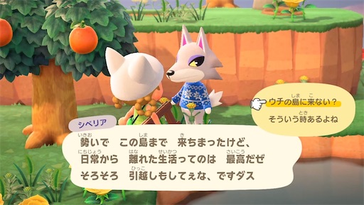 f:id:katze6:20220803160747j:image f:id:katze6:20220803160747j:image
