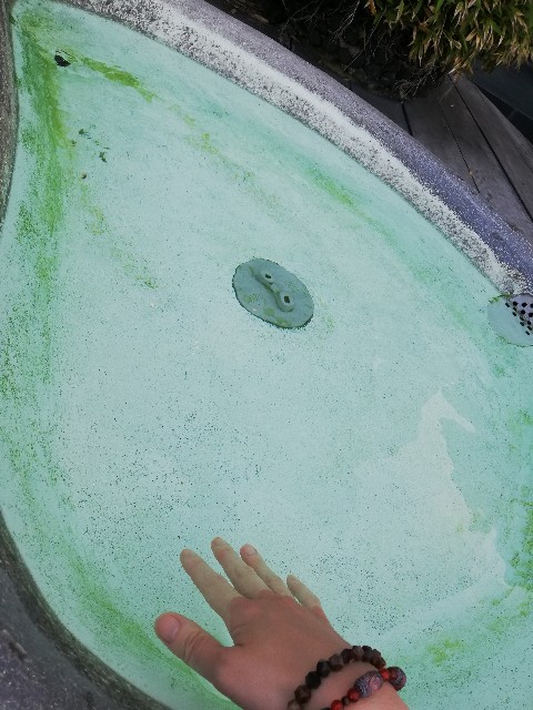 f:id:kau4521:20200620142926j:image