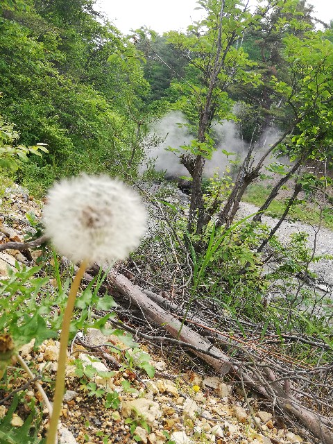 f:id:kau4521:20200621222843j:image