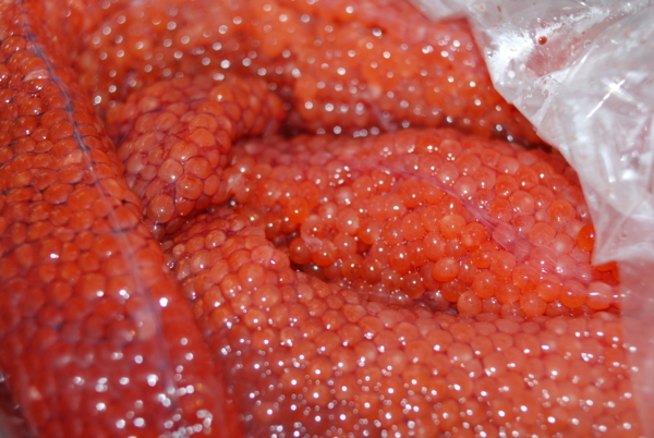 f:id:kauf_com:20111008183450j:image
