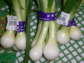 [日光][農産物直売所][天然の氷]