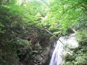 f:id:kaunet:20090715055017j:image