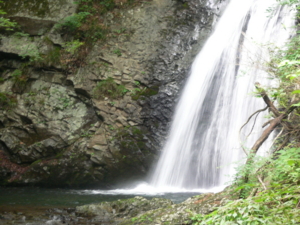 f:id:kaunet:20090715055239j:image