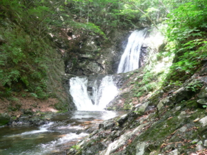 f:id:kaunet:20090715055241j:image
